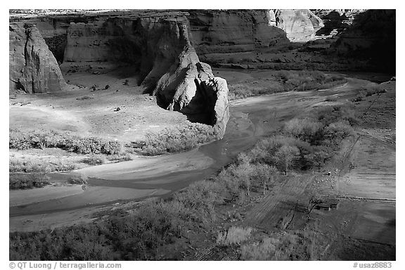 Canyon floor partly lit, seen from Tsegi Overlook. Canyon de Chelly  National Monument, Arizona, USA (black and white)