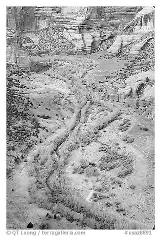 Canyon de Chelly seen from Spider Rock Overlook. Canyon de Chelly  National Monument, Arizona, USA (black and white)