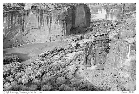 Canyon de Chelly seen from Spider Rock Overlook. Canyon de Chelly  National Monument, Arizona, USA (black and white)