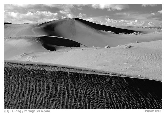 Pink Sand dunes, early morning. Canyon de Chelly  National Monument, Arizona, USA