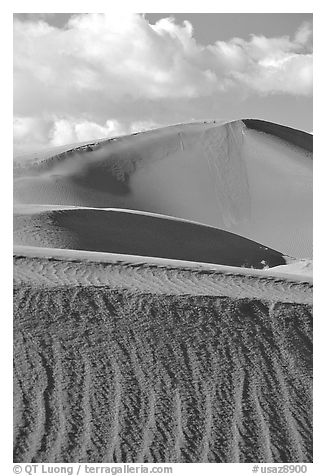 Sand dunes, early morning. Canyon de Chelly  National Monument, Arizona, USA