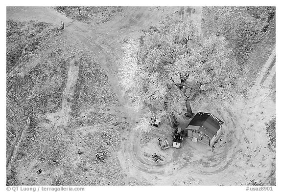 Cotton wood tree and hut. Canyon de Chelly  National Monument, Arizona, USA (black and white)