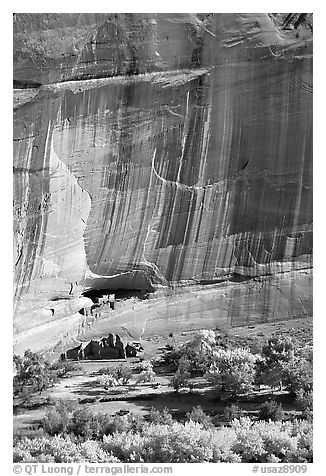 Floor of canyon with cottonwoods in fall colors and White House ruins. Canyon de Chelly  National Monument, Arizona, USA