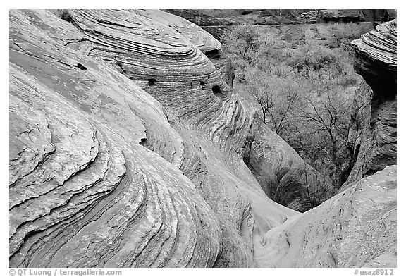 Sandstone Swirls. Canyon de Chelly  National Monument, Arizona, USA (black and white)
