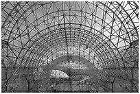 Glass enclosure seen from inside. Biosphere 2, Arizona, USA (black and white)