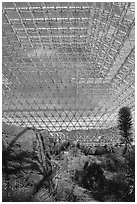 Ecosystem enclosed. Biosphere 2, Arizona, USA (black and white)
