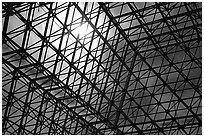 Metallic structure. Biosphere 2, Arizona, USA (black and white)