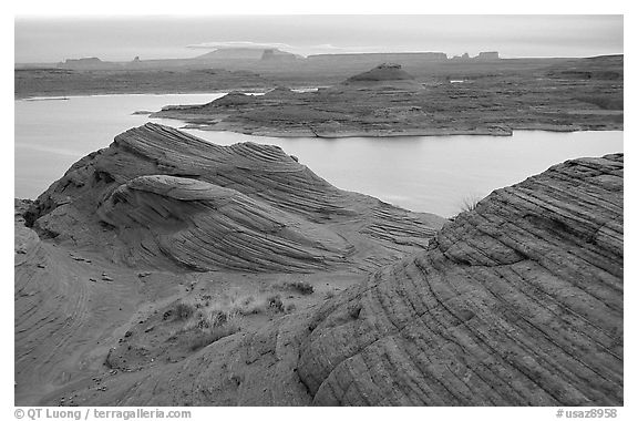 Sandstone Swirls and Lake Powell, Glenn Canyon National Recreation Area, morning. Arizona, USA (black and white)