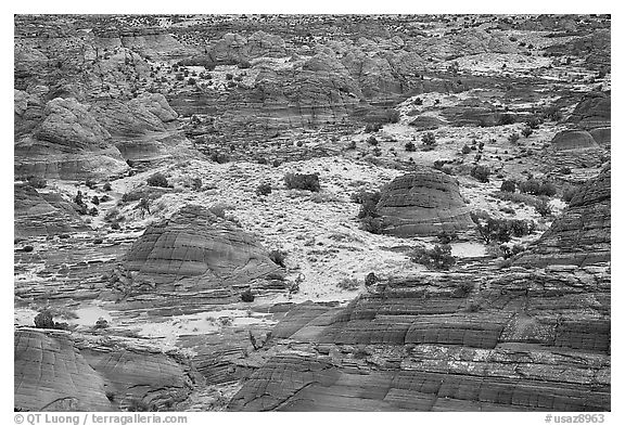 Sandstone teepees, North Coyote Buttes. Vermilion Cliffs National Monument, Arizona, USA (black and white)