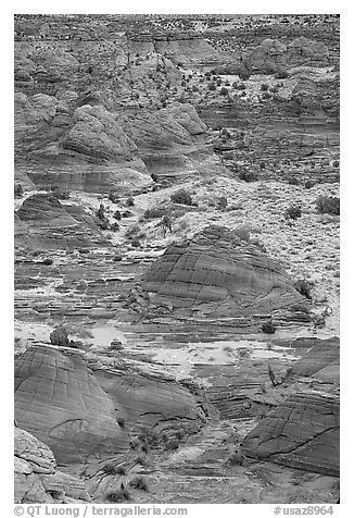 Sandstone mounds. Coyote Buttes, Vermilion cliffs National Monument, Arizona, USA