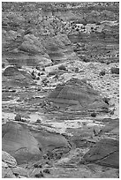 Sandstone mounds. Coyote Buttes, Vermilion cliffs National Monument, Arizona, USA (black and white)