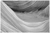 Sandstone striations in the Wave. Coyote Buttes, Vermilion cliffs National Monument, Arizona, USA (black and white)