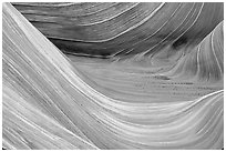 Sandstone striations in the Wave. Coyote Buttes, Vermilion cliffs National Monument, Arizona, USA ( black and white)