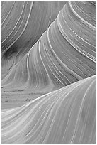 Ondulating rock formation, the Wave. Coyote Buttes, Vermilion cliffs National Monument, Arizona, USA (black and white)