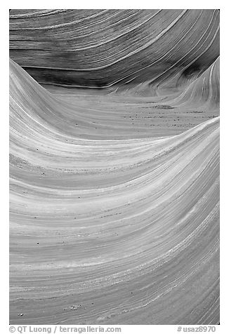 Ondulating sandstone stripes, The Wave. Coyote Buttes, Vermilion cliffs National Monument, Arizona, USA