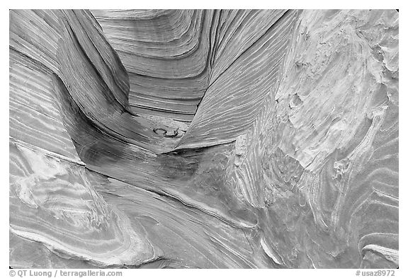 The Wave, side passage. Vermilion Cliffs National Monument, Arizona, USA (black and white)