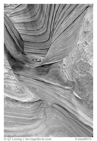 The Wave, side formation. Coyote Buttes, Vermilion cliffs National Monument, Arizona, USA (black and white)