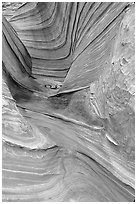 The Wave, side formation. Coyote Buttes, Vermilion cliffs National Monument, Arizona, USA (black and white)