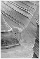 The Wave, side formation. Coyote Buttes, Vermilion cliffs National Monument, Arizona, USA (black and white)