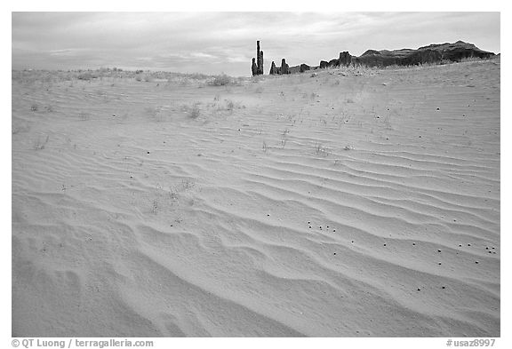 Pink sand and Yei bi Chei. Monument Valley Tribal Park, Navajo Nation, Arizona and Utah, USA (black and white)