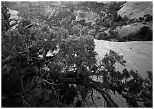 Monument Canyon view, Colorado National Monument. Colorado National Monument, Colorado, USA ( black and white)