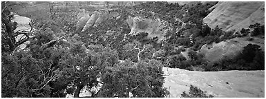 Mesa landscape. Colorado National Monument, Colorado, USA (Panoramic black and white)