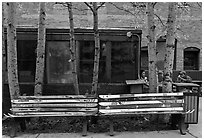 Public benches made of old skis. Telluride, Colorado, USA (black and white)