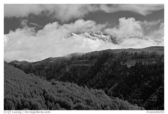 Snowy Mt Wilson emerging from clouds in the spring. Colorado, USA (black and white)