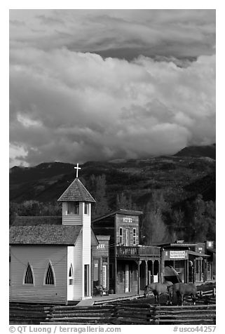 Horses grazing in front of historic-looking buildings, Ridgeway. Colorado, USA (black and white)