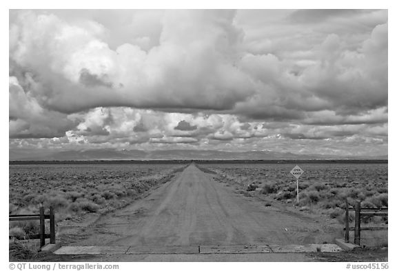 Cattle guard and straight dirt road. Colorado, USA (black and white)