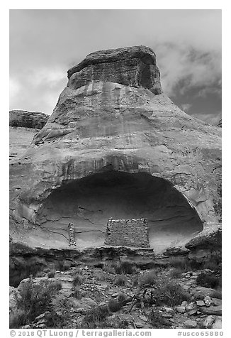 Saddlehorn Pueblo. Canyon of the Anciens National Monument, Colorado, USA (black and white)