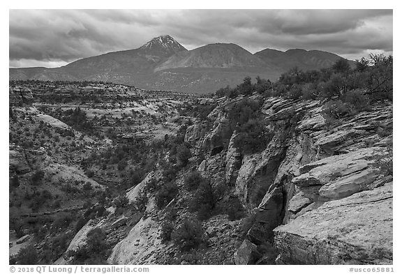 Sand Canyon. Canyon of the Anciens National Monument, Colorado, USA (black and white)