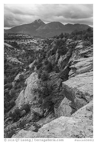 Sand Canyon and Sleeping Ute Mountain. Canyon of the Ancients National Monument, Colorado, USA (black and white)