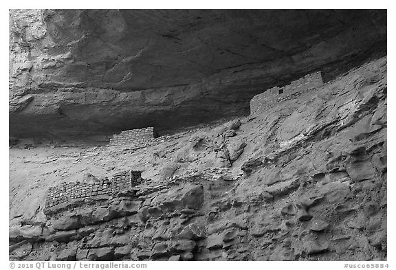 Corncob House. Canyon of the Anciens National Monument, Colorado, USA (black and white)