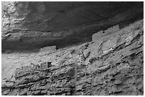 Corncob House. Canyon of the Ancients National Monument, Colorado, USA ( black and white)