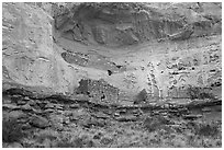 Double Cliff House. Canyon of the Anciens National Monument, Colorado, USA ( black and white)