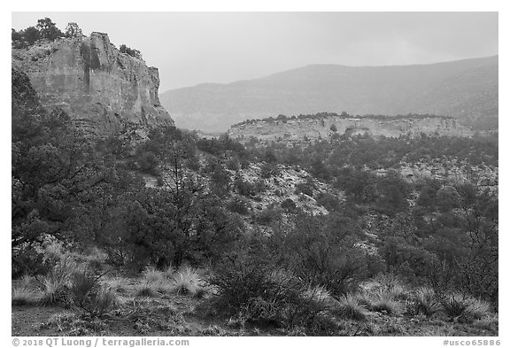 Sandstone cliffs in rain. Canyon of the Anciens National Monument, Colorado, USA (black and white)