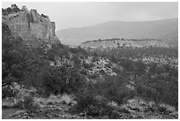 Sandstone cliffs in rain. Canyon of the Ancients National Monument, Colorado, USA ( black and white)
