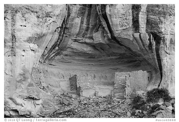 Sunny Alcove cliff dwelling. Canyon of the Ancients National Monument, Colorado, USA (black and white)