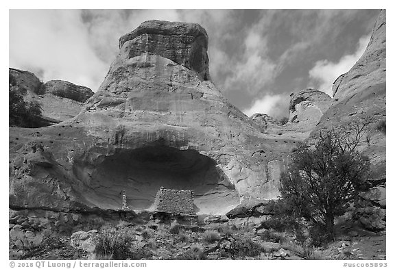 Saddlehorn Hamlet. Canyon of the Anciens National Monument, Colorado, USA (black and white)