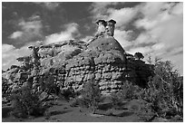 Entrada Sandstone bluff. Canyon of the Ancients National Monument, Colorado, USA ( black and white)