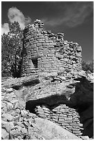 Tower on rock outcropping. Canyon of the Ancients National Monument, Colorado, USA ( black and white)
