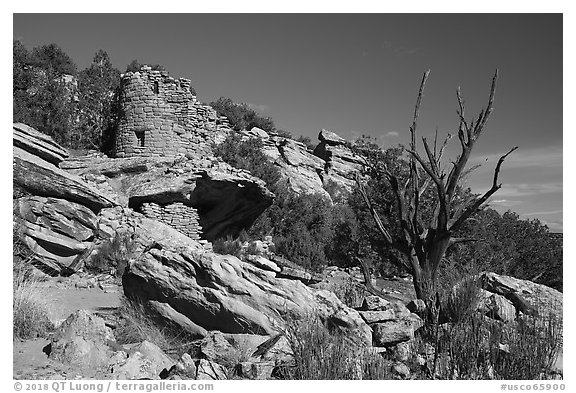 Painted Hand Pueblo from below. Canyon of the Ancients National Monument, Colorado, USA (black and white)