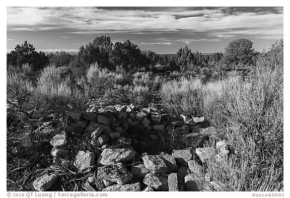 Ruined walls. Canyon of the Anciens National Monument, Colorado, USA (black and white)