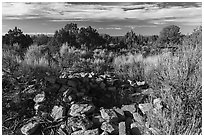 Ruined walls. Canyon of the Ancients National Monument, Colorado, USA ( black and white)