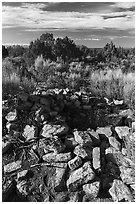 Unnamed ruined walls. Canyon of the Anciens National Monument, Colorado, USA ( black and white)