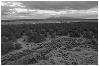Aerial view of flats and Ute Mountain, evening. Canyon of the Ancients National Monument, Colorado, USA ( black and white)