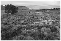 Aerial view of Lower House. Yucca House National Monument, Colorado, USA ( black and white)