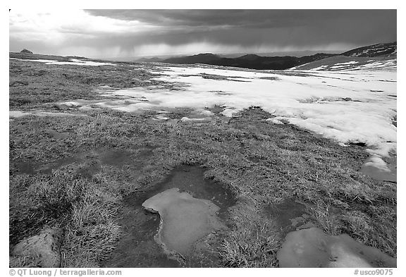 Tundra and snow on Mt Evans. Colorado, USA