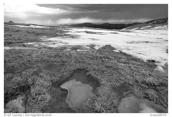 Tundra and snow on Mt Evans. Colorado, USA